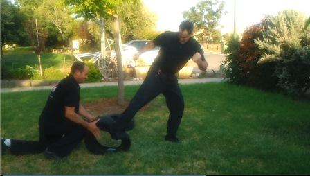 פומיקומי אימוני צמיגים שאי-הון